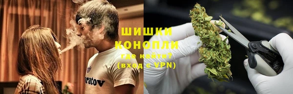 стафф Алзамай