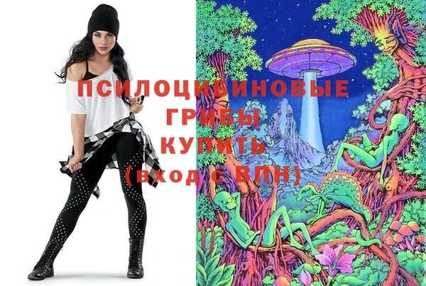 стафф Алзамай