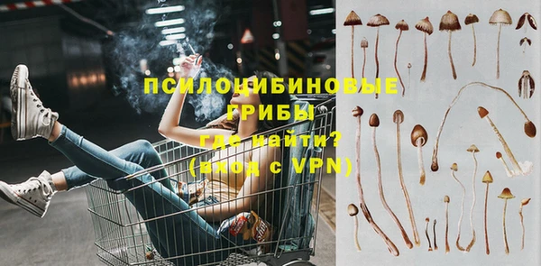 стафф Алзамай