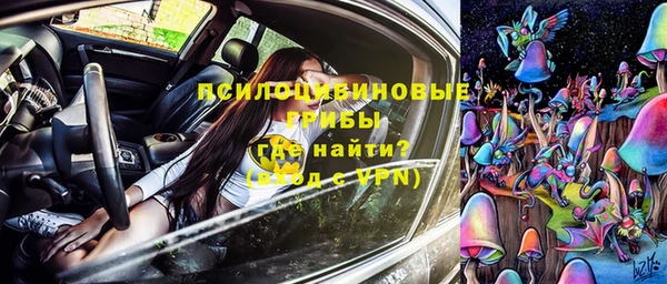 стафф Алзамай